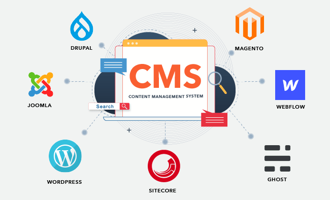 CMS Website Development